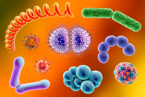 Microbes of different shapes Stock Illustration