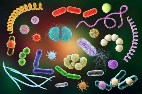 Microbes of different shapes Illustrazione stock