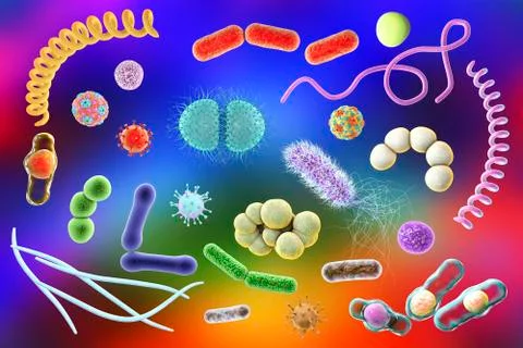 Microbes of different shapes Illustrazione stock