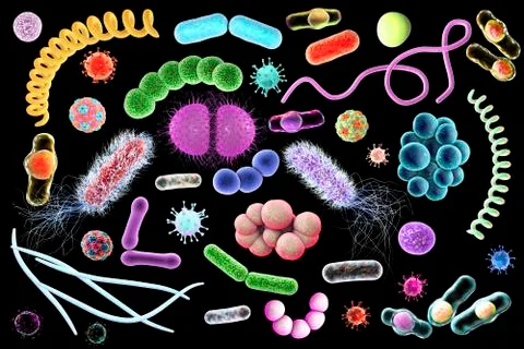 Microbes of different shapes Illustrazione stock