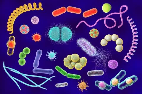 Microbes of different shapes Stock Illustration