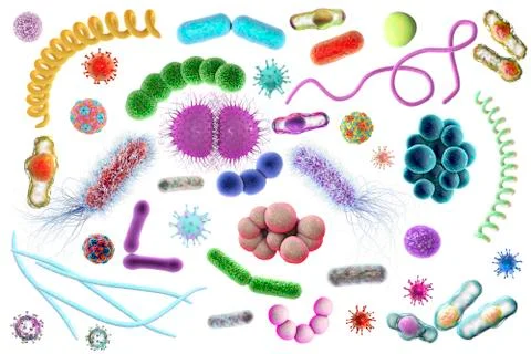 Microbes of different shapes Stock Illustration