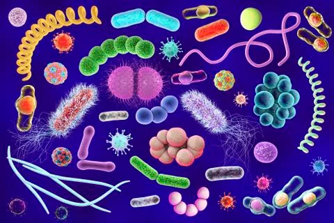 Microbes of different shapes Illustrazione stock