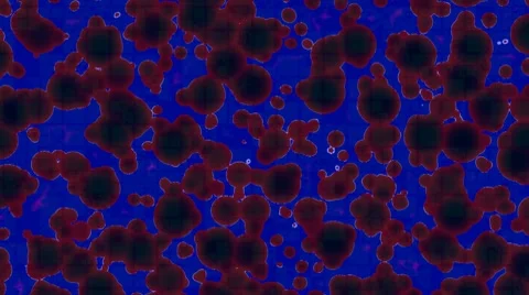 Microbes Stock Footage 8724478