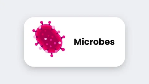 Microbes Stock Footage 334462029