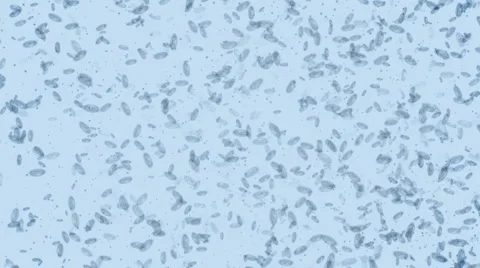 Microbes form Biohazard symbol Full HD Stock Footage 1044563