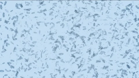Microbes form Euro Full HD Stock Footage 1044633
