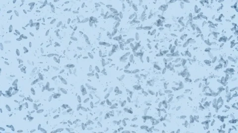 Microbes form Radiation symbol Full HD Stock Footage 1044580