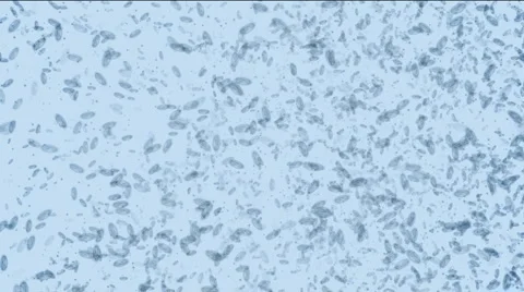 Microbes form Recycle symbol HD Stock Footage 1044657