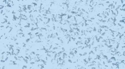 Microbes form Skull and Cross-bone Full HD Stock Footage 1044594