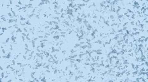 Microbes form word AIDS HD Stock Footage 7137304