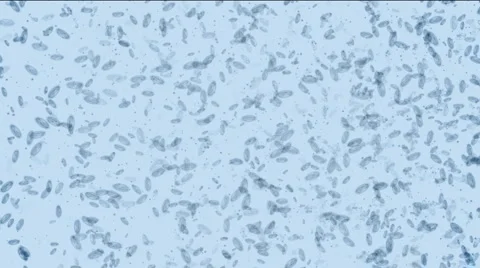 Microbes form Yin-Yang Full HD Stock Footage 1044619