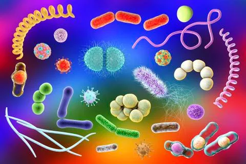 Microbes, illustration Stock Illustration