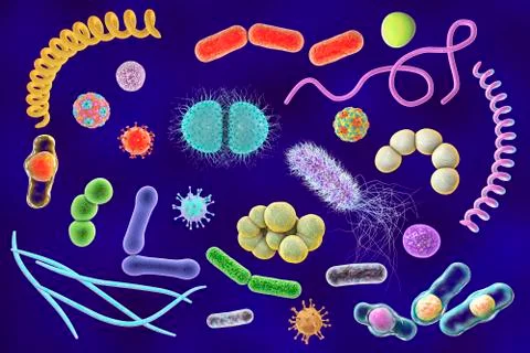 Microbes, illustration Stock Illustration