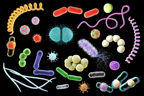 Microbes, illustration Stock Illustration