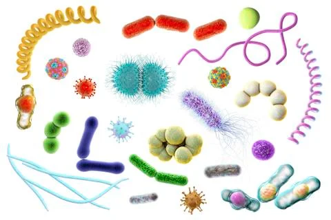 Microbes, illustration Stock Illustration