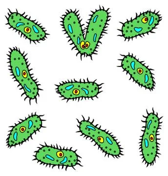 Microbes - infusorians on white background Stock Illustration