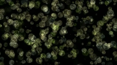 Microbes in motion Stock-Footage 10809718