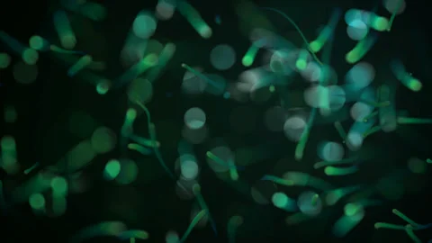 Microbes under a microscope, virus, color graphic background, loop Stock Footage 93448826