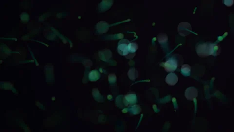 Microbes under a microscope, virus, color graphic background, loop Stock Footage 93472275