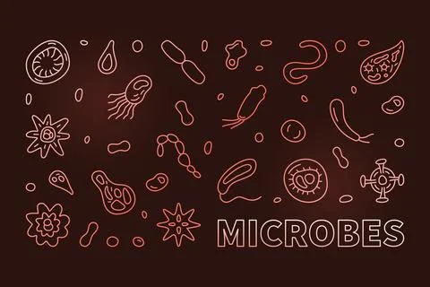 Microbes vector Micro Biology concept outline colored horizontal banner or .. Stock Illustration