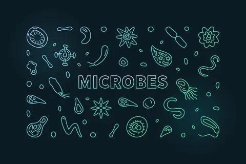 Microbes vector Science concept outline colorful horizontal banner or illus.. Stock Illustration