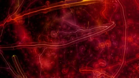 Microbes Video Background 2232 HD Stock Footage 83728016