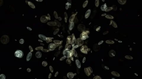 Microbes virus Stock Footage 49022507