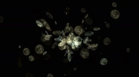 Microbes virus Stock Footage 49022512