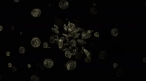 Microbes virus Stock Footage 49024745