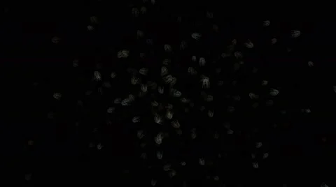 Microbes virus Stock Footage 49029769