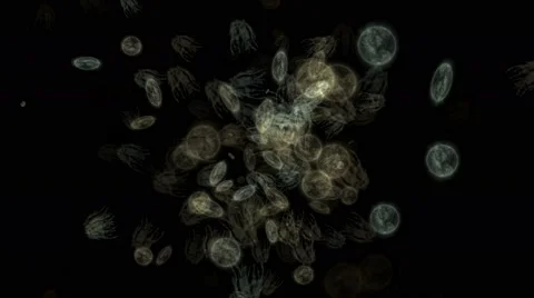 Microbes virus Stock Footage 49030269