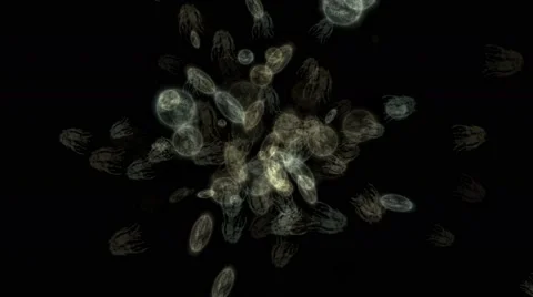 Microbes virus Stock Footage 49030764