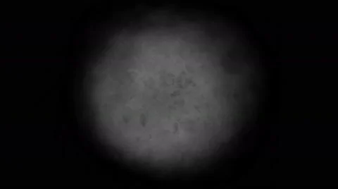 Microbes virus Stock Footage 49035948