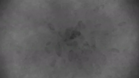 Microbes virus Stock Footage 49036029