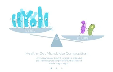 Microbial balance in the intestinal microbiota. Vector illustration. Stock Illustration