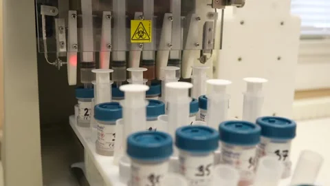 Microbial biochemical identification experiment in lab. Stock Footage 234583338