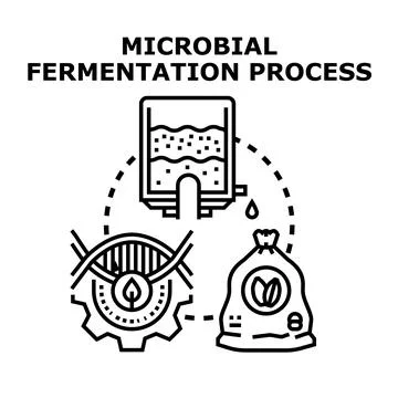 Microbial fermentation process creating sustainable biotechnology products Stock Illustration