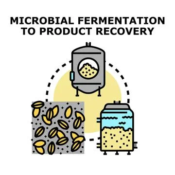 Microbial fermentation process for industrial product recovery Stock Illustration