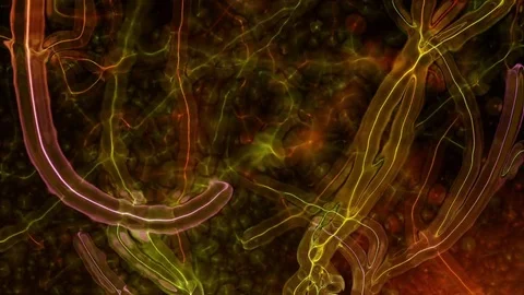 Microbial Light Video Background 0504 HD, 4K Stock Footage 76722046