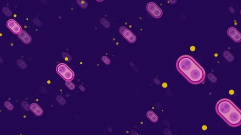 Microbial Replication Swarm Stock Footage 335639751