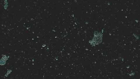 Microbial Universe Captured Through Macro High Resolution Lens in Dark Cool.. Stock-Footage 341926003
