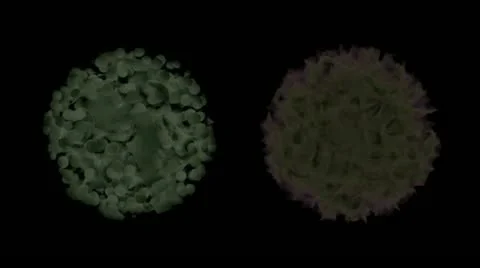 Microbic cells elements set with alpha channel Video stock 11281574