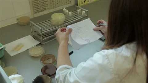 Microbiological analyses, female lab technician analyzing specimens, close up. Stock Footage