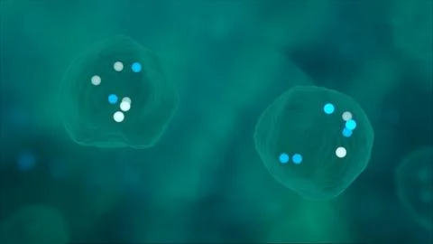 Microbiological Cell Split Stock Photos
