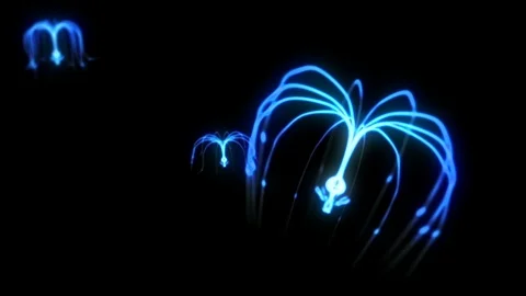 Microbiological Creatures Stock Footage 102761881