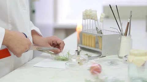 Microbiological laboratory work with test tubes Stock Footage 57353430