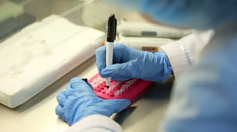 Microbiological laboratory work with tests Stock Footage 57073912