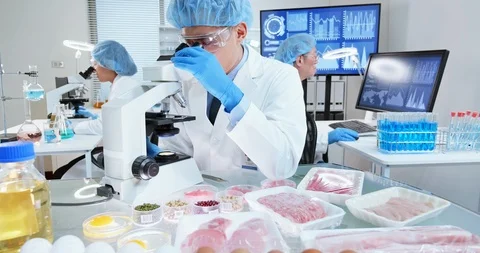 Microbiological Test Food Quality Stock Footage 121859592