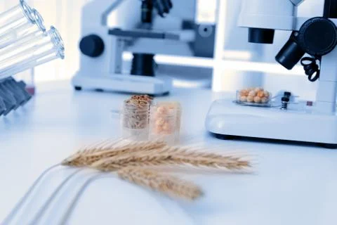 Microbiological testing for food quality Stock Photos